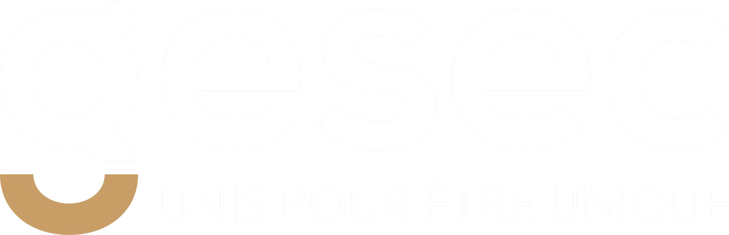 Logo GESEC